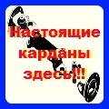 ��������� ��� ���������, ������������ ������ ������� (�.������)